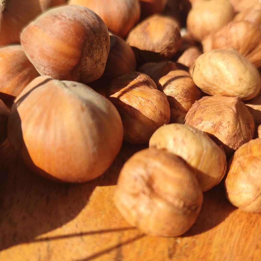 Slavonski Eko -  Rimski okrugli  thumbnail 6