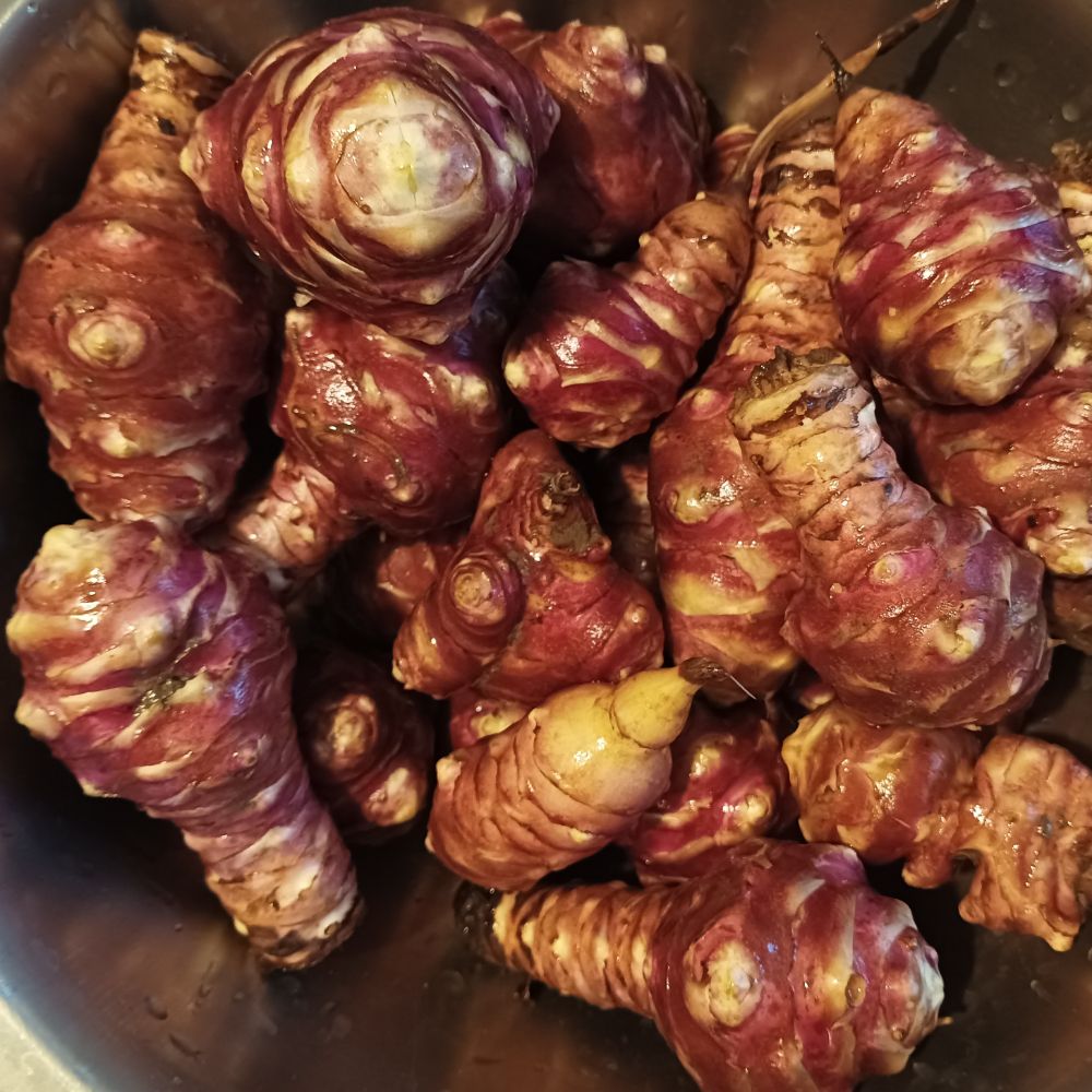 Ljubičasta thumbnail 3