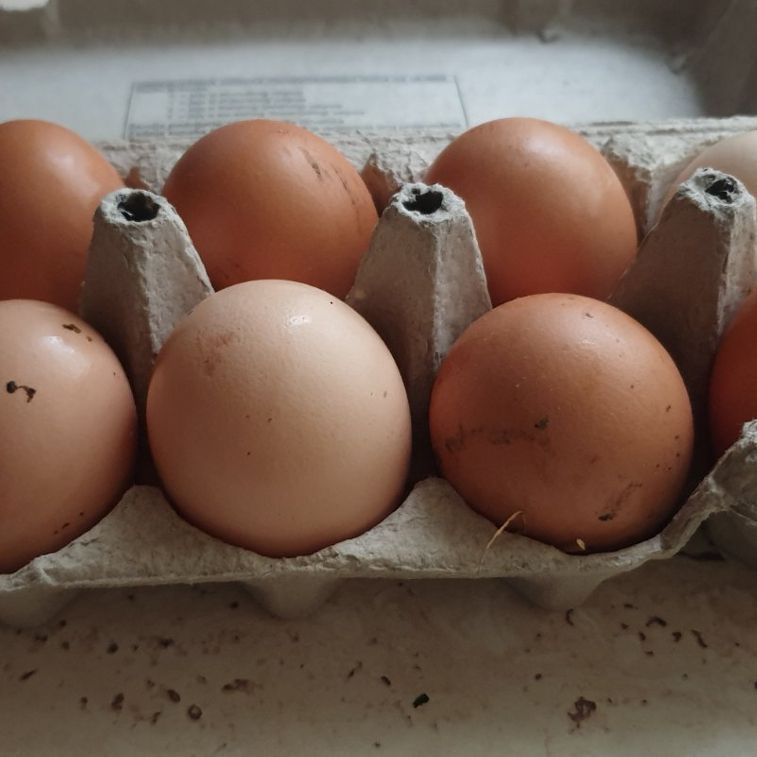 2 paketa thumbnail 2