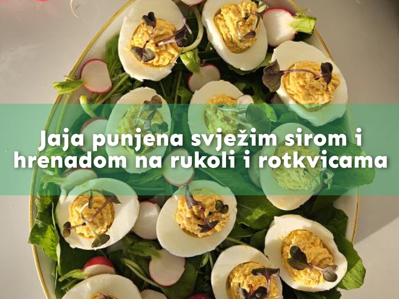 Gefüllte Eier mit Frischkäse und Hrenada auf Rucola und Radieschen